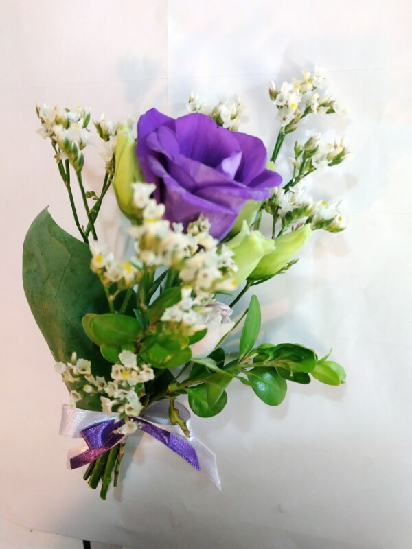 WhatsApp Image 2026-03-10 at 12.01.56 9